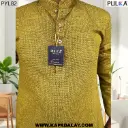 PYL82 (6).webp