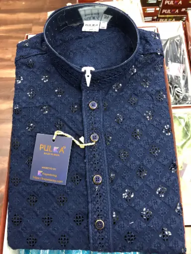 Beautiful Chikankari sequin work kurta for Men